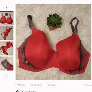 UK 36J (US 36M) 1st and Curve Molded Cup